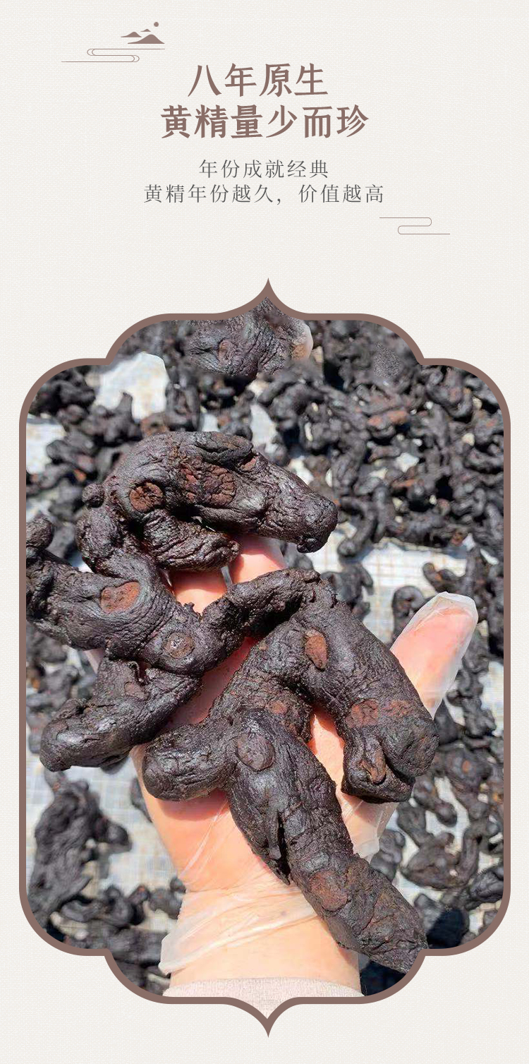 黄精茶(图1)